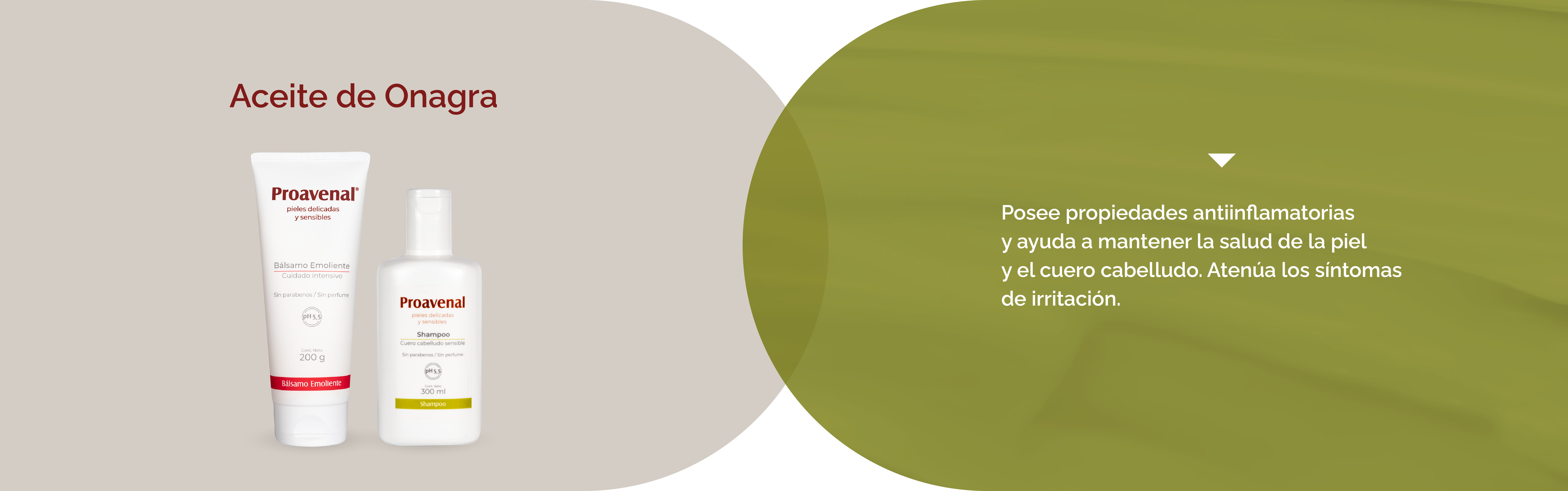 Componentes PC-08
