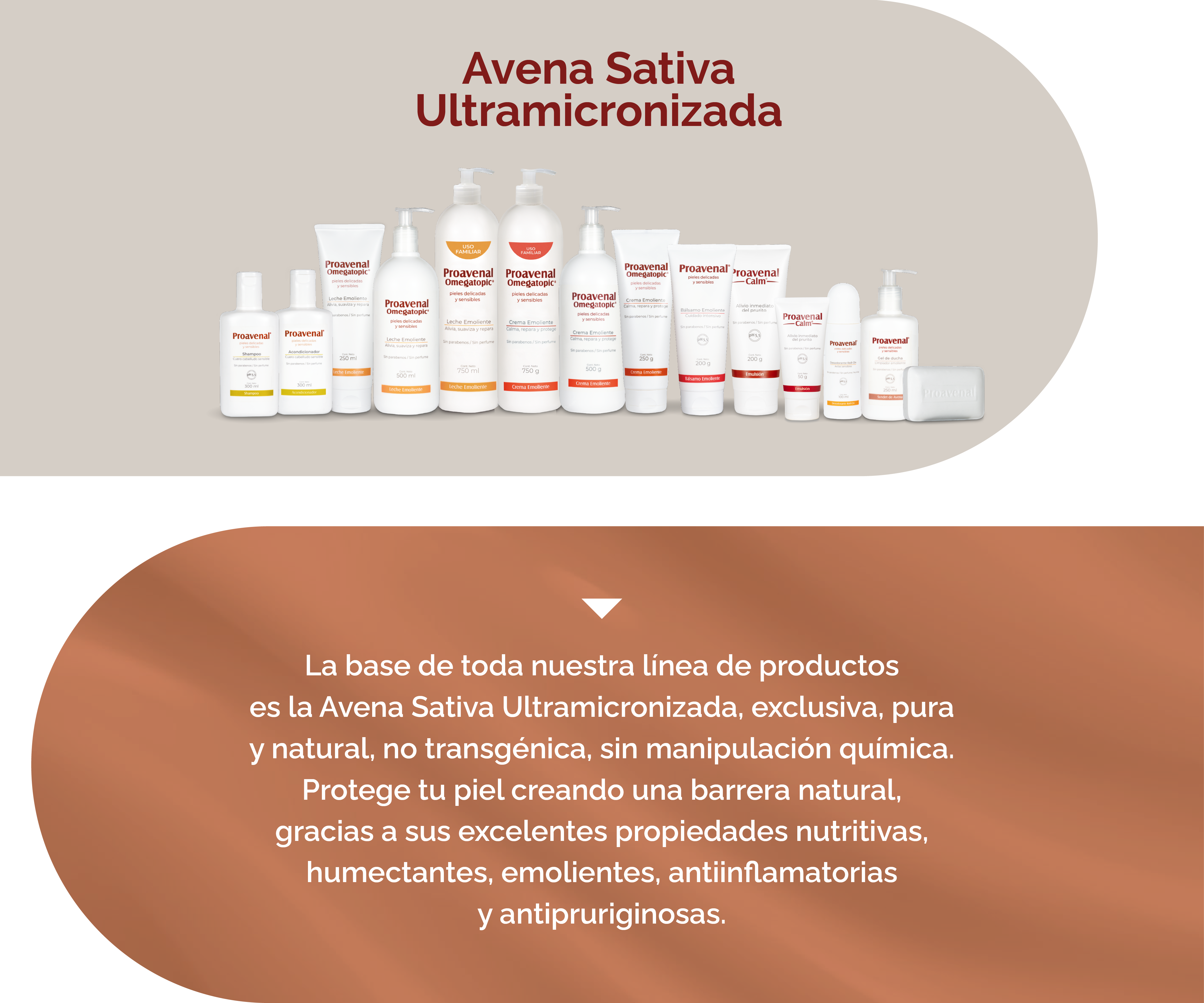 Componentes mobile-04