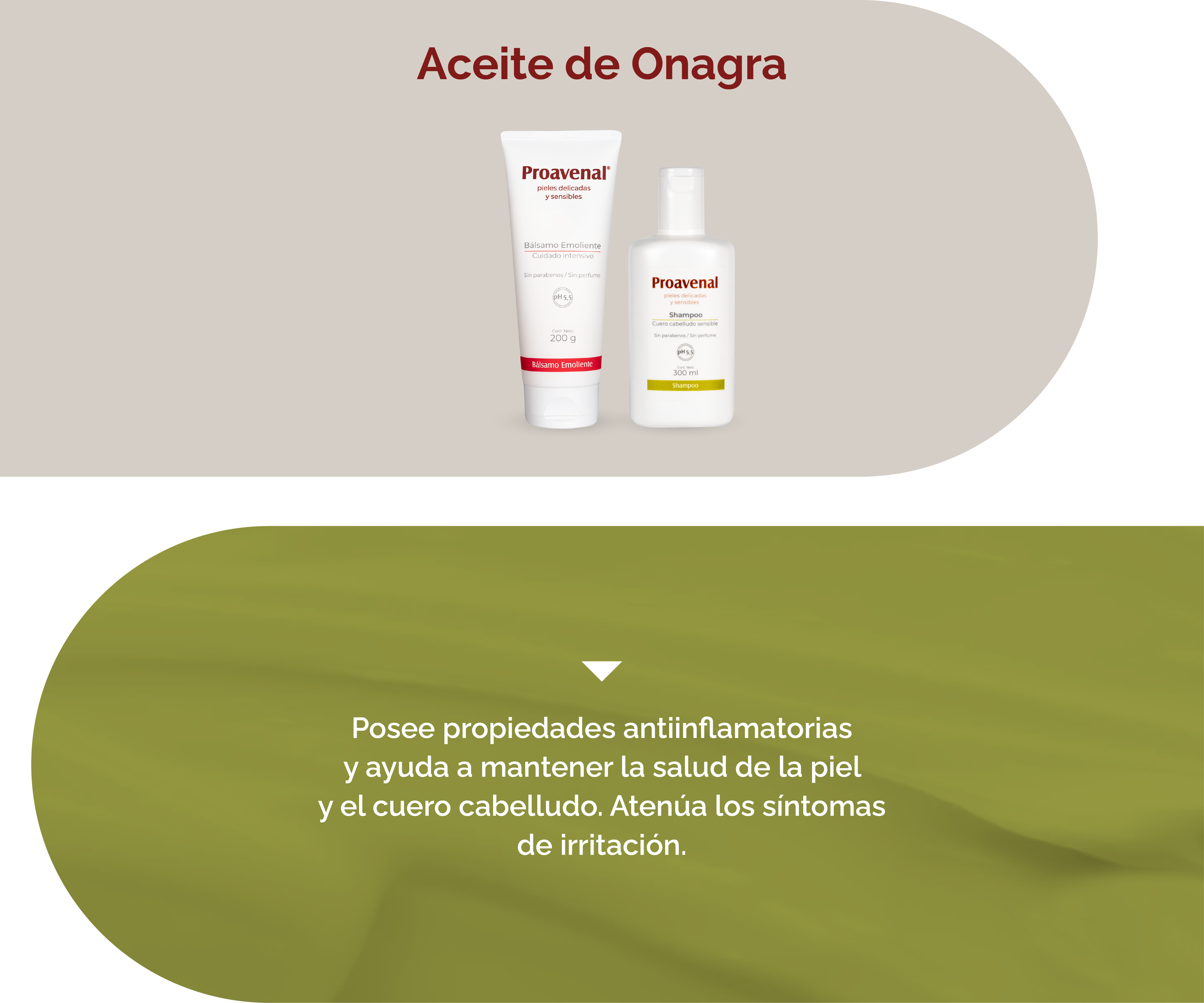 Componentes mobile-10